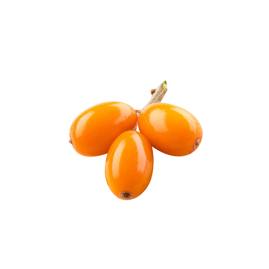 Three orange berries on a white background