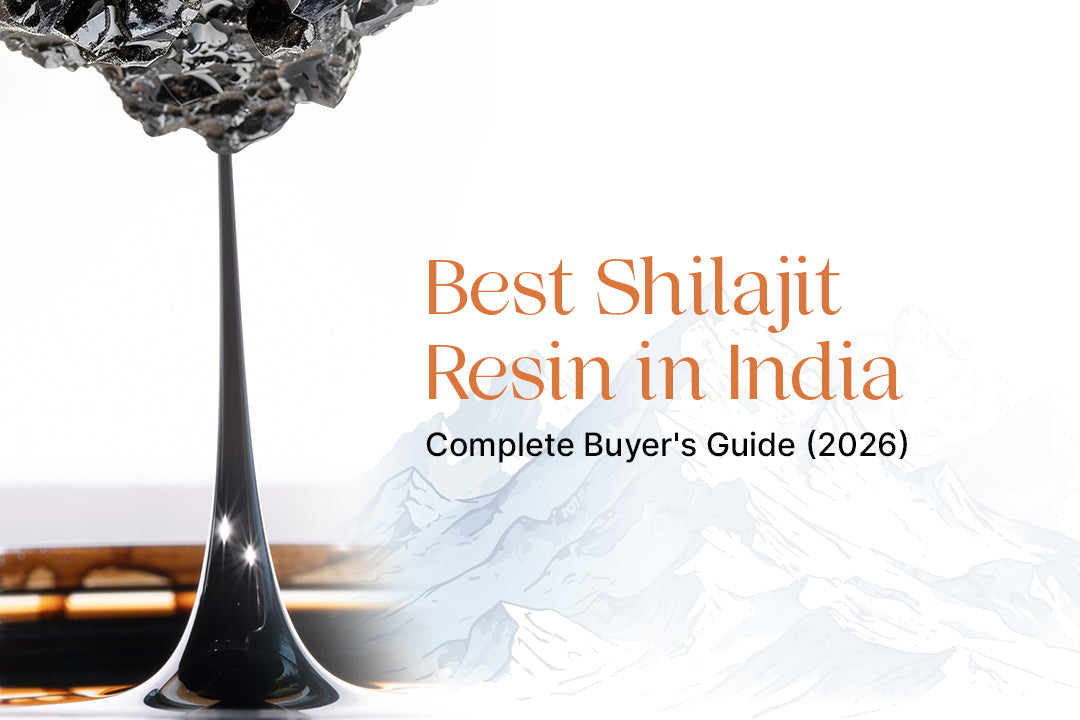 Best Shilajit Resin in India: Complete Buyer's Guide (2026)