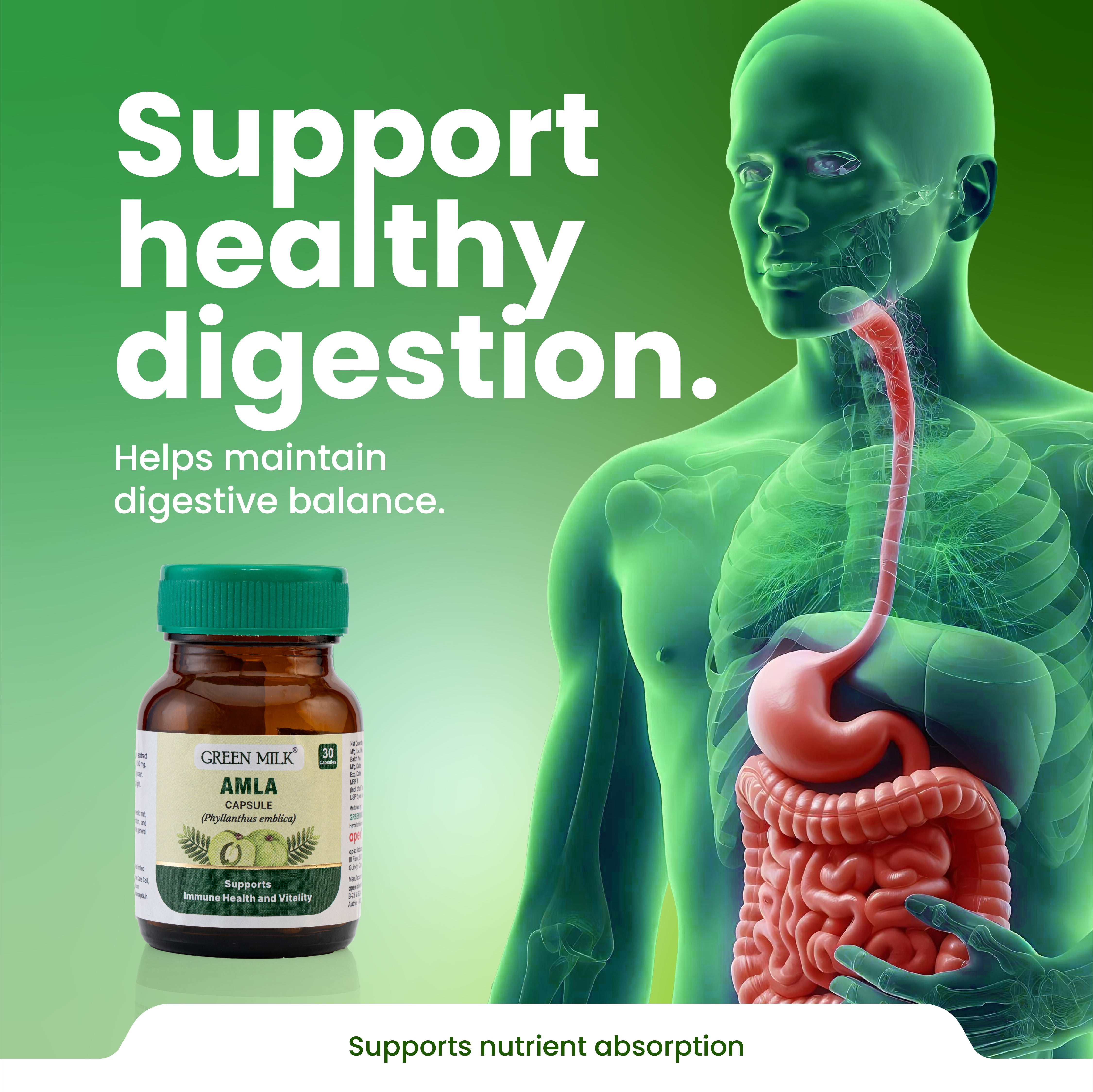 Bottle of Green Milk Amla capsules with a digital illustration of a human digestive system on a green background.