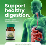 Bottle of Green Milk Amla capsules with a digital illustration of a human digestive system on a green background.