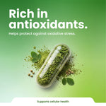Capsule filled with green powder and leaves on a green background with text about antioxidants and cellular health.