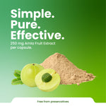 Amla fruit extract with powder and text on a green background