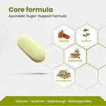 Ayurvedic sugar-support formula with ingredients and pill on a white background