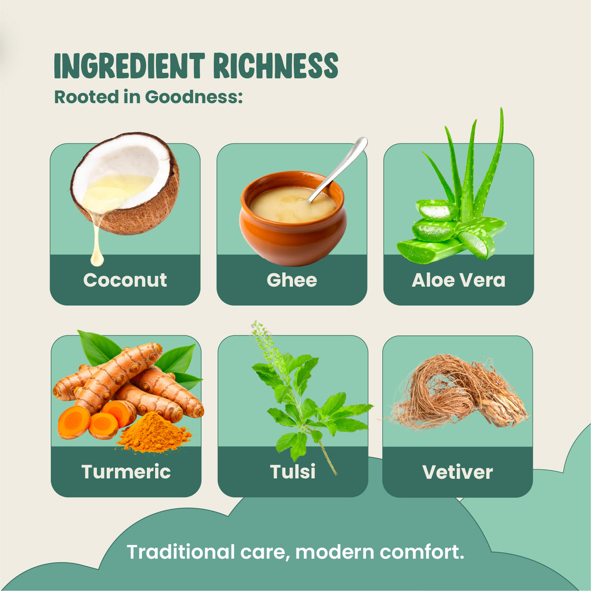 Illustration of coconut, ghee, aloe vera, turmeric, tulsi, and vetiver with text 'Ingredient Richness' on a light green background.