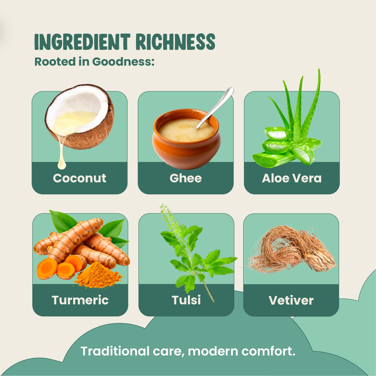 Illustration of coconut, ghee, aloe vera, turmeric, tulsi, and vetiver with text 'Ingredient Richness' on a light green background.