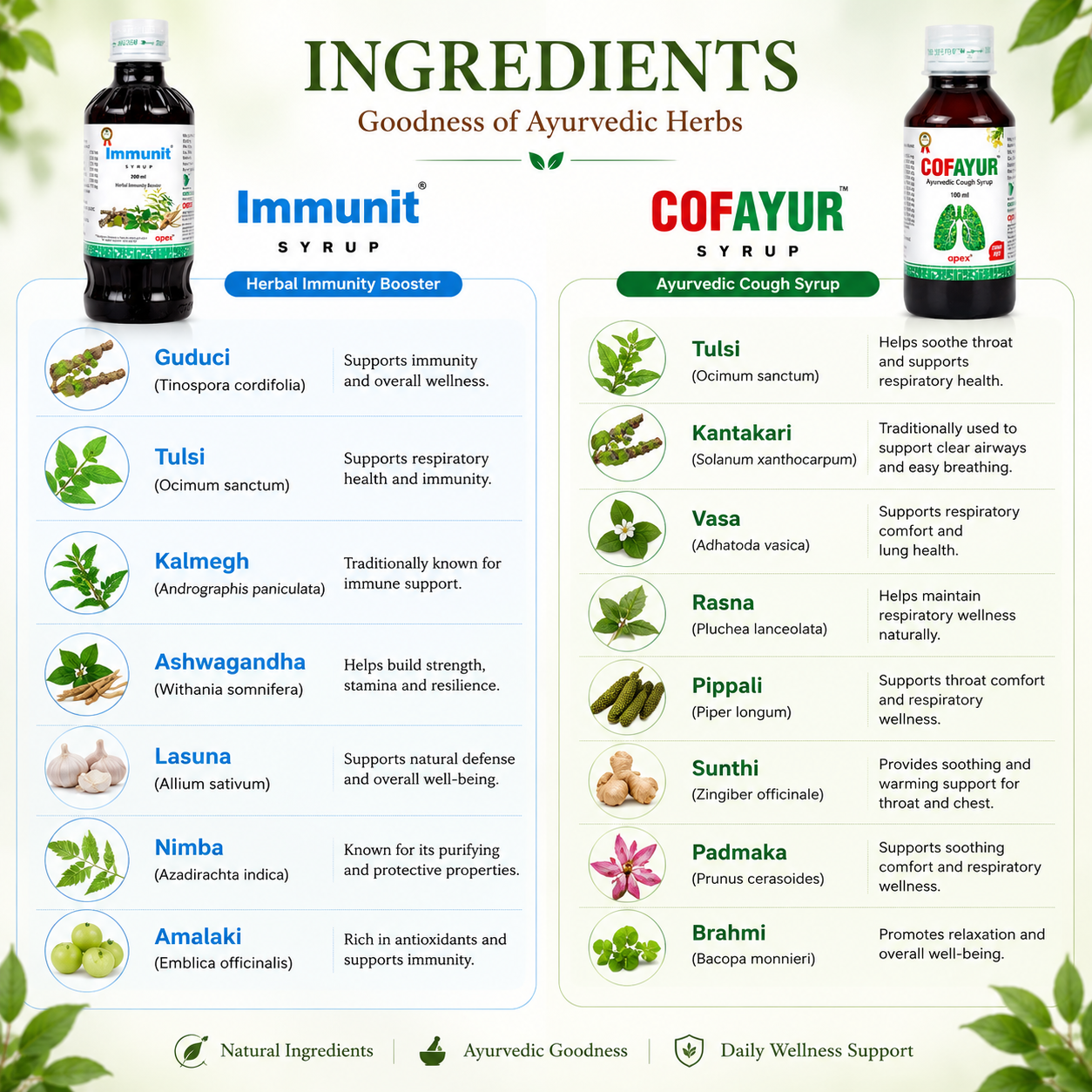 Green Milk Immunity & Respiratory Care Combo (Immunit Syrup + Cofayur Syrup) | Ayurvedic Immune & Respiratory Wellness Support