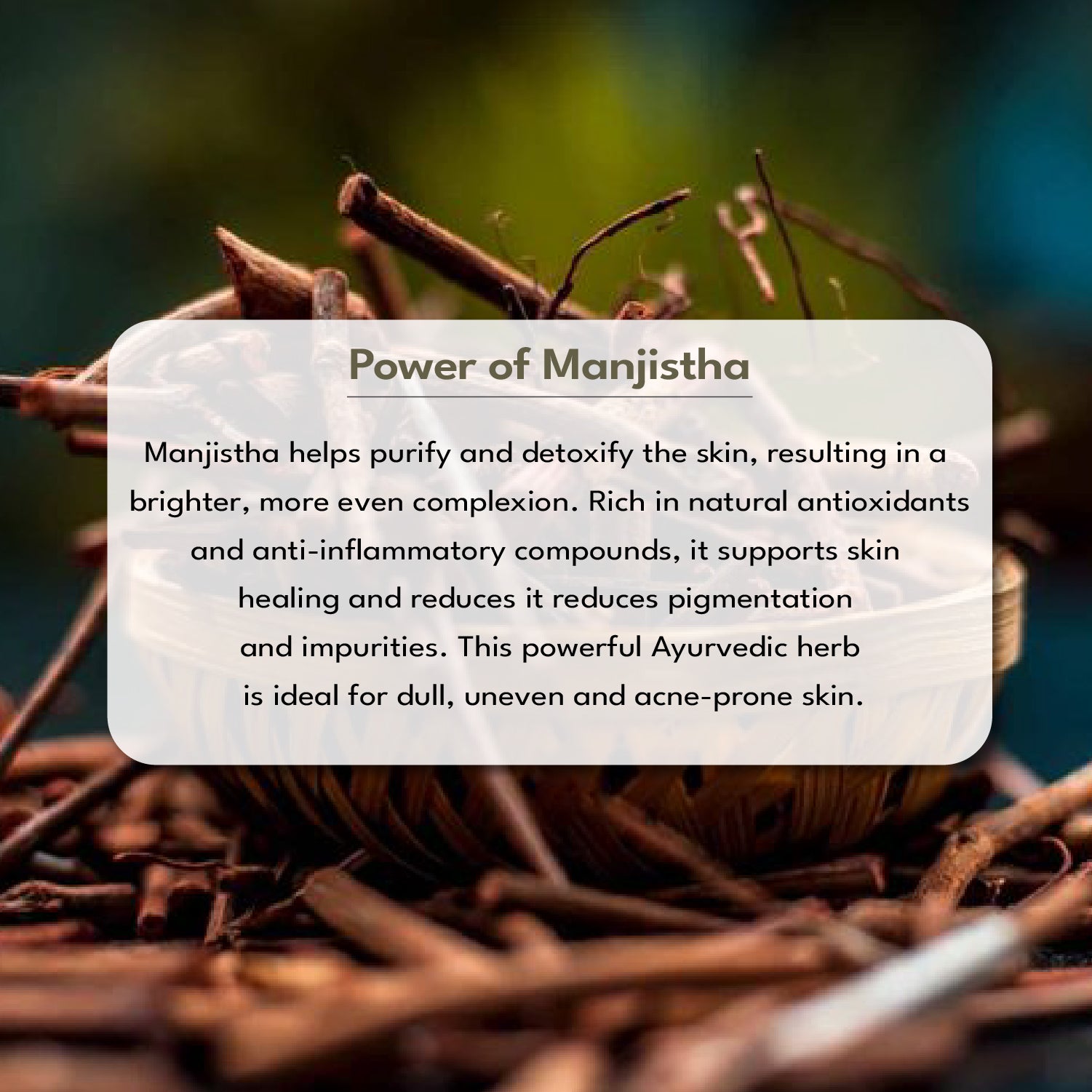 Manjistha herb with text overlay on a blurred natural background