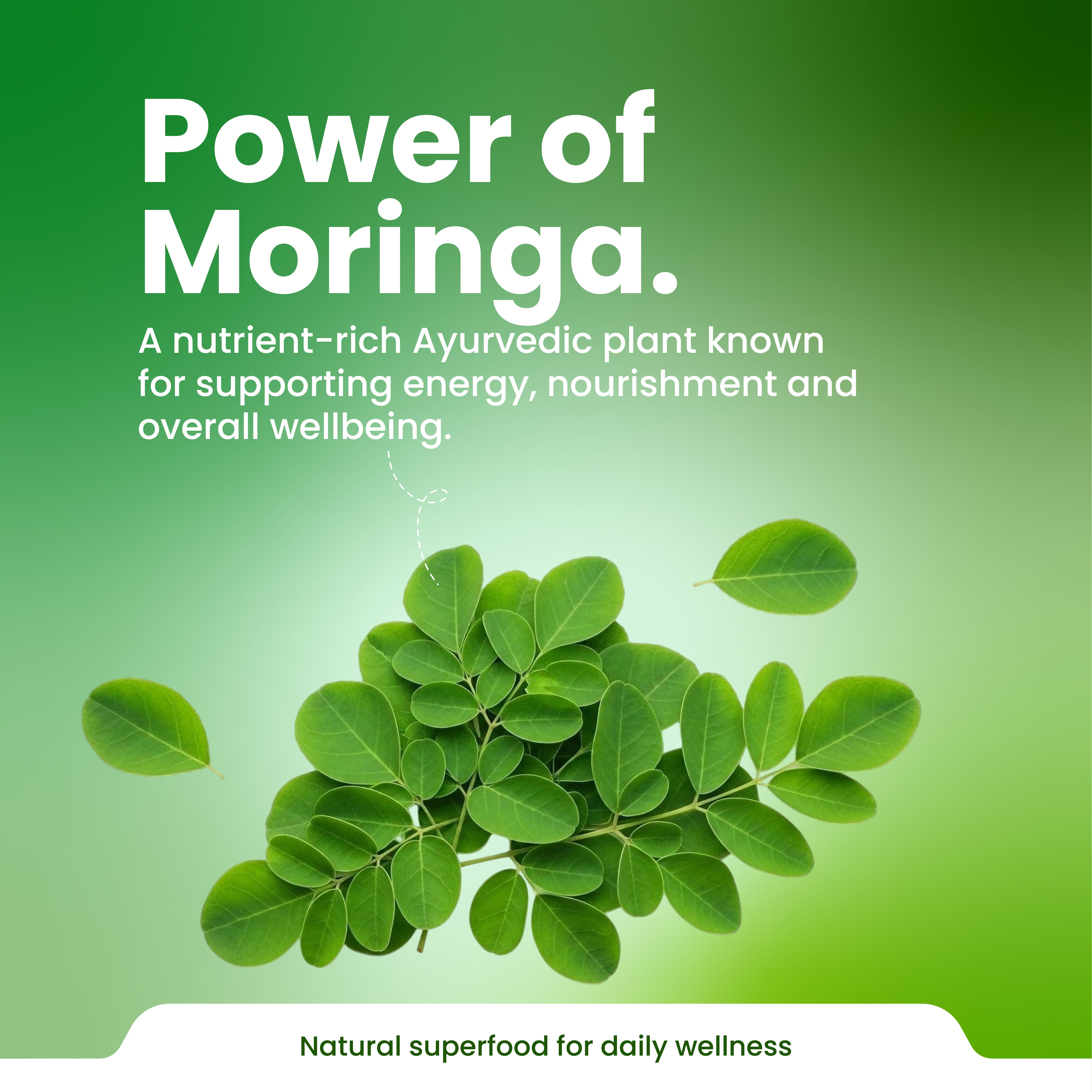 Moringa leaves with text about its benefits on a green background