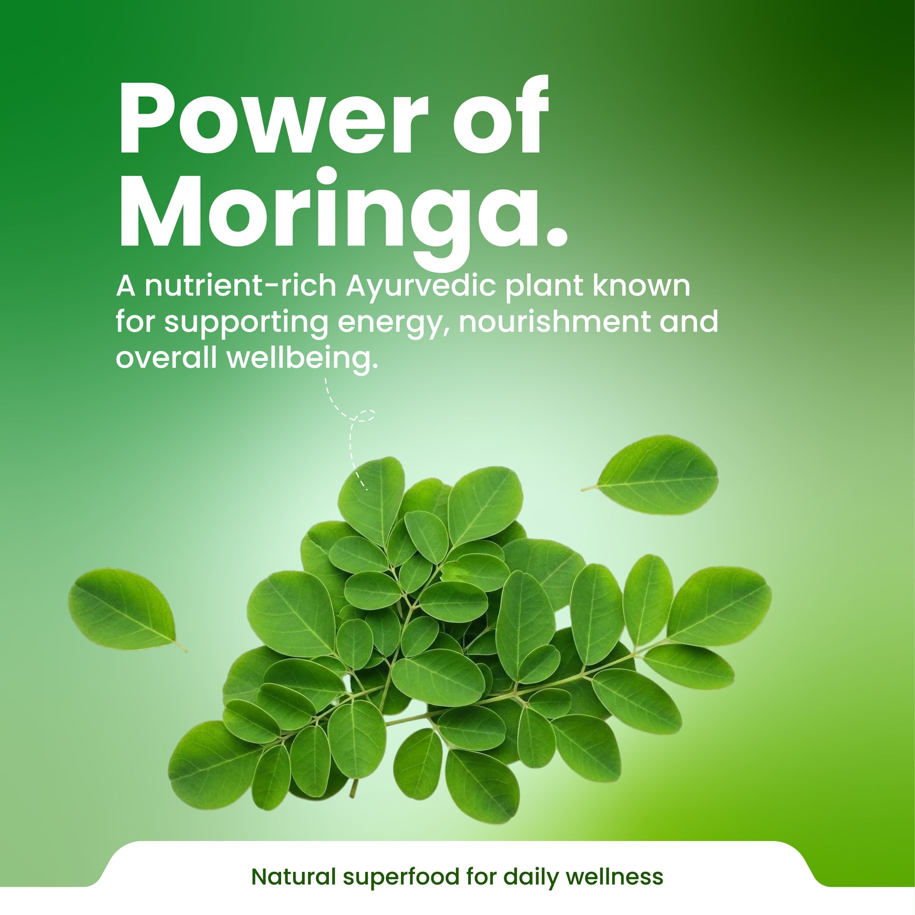 Moringa leaves with text about its benefits on a green background