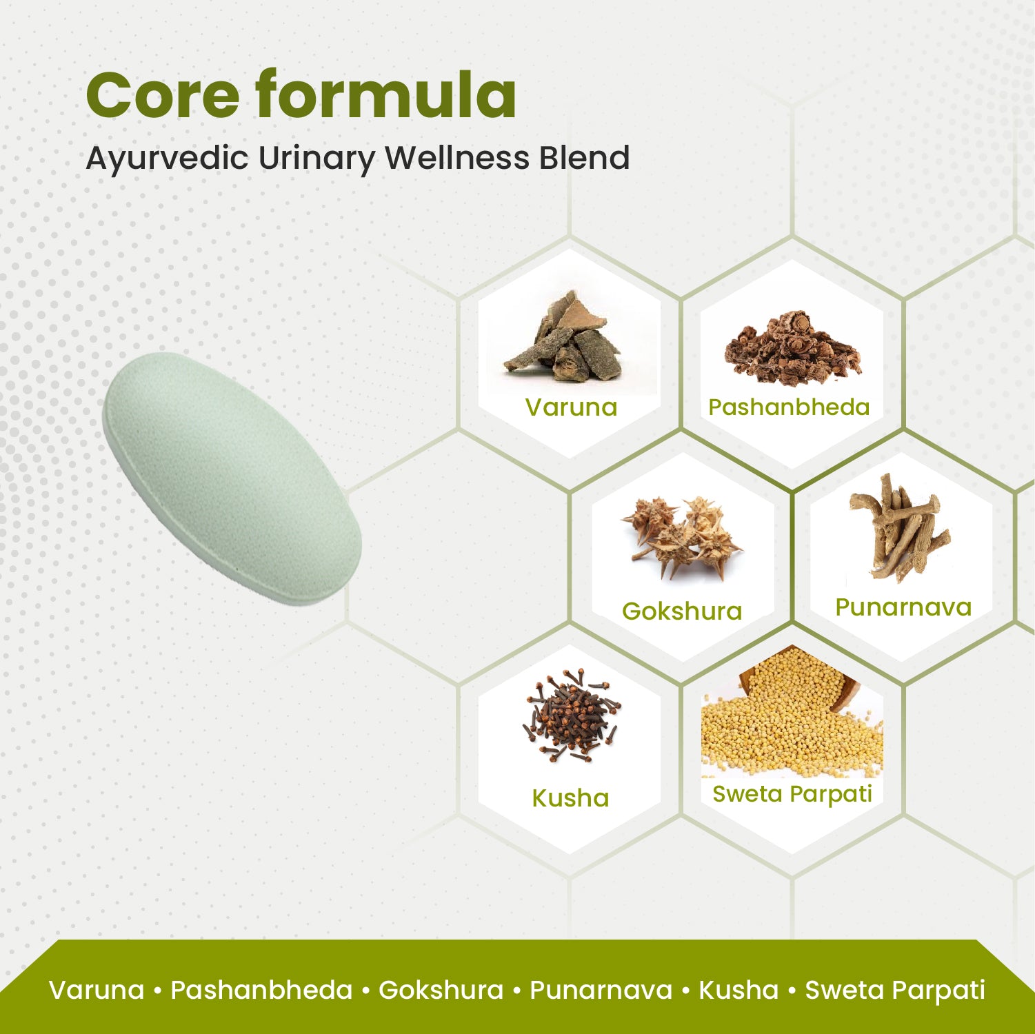 Ayurvedic Urinary Wellness Blend with core ingredients displayed on a white background