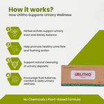 Uritho product packaging with text explaining how it supports urinary wellness on a white background.