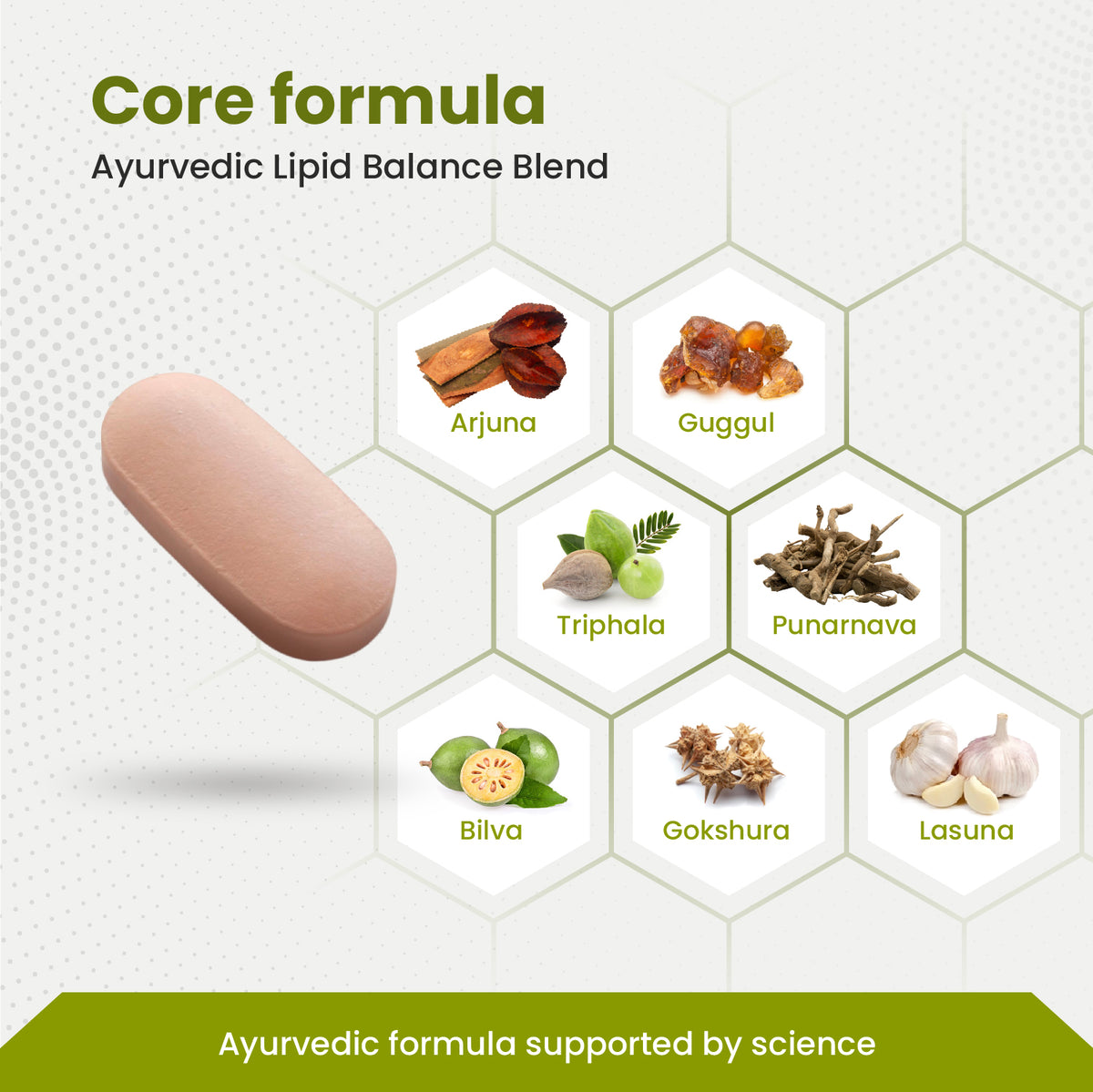 Ayurvedic lipid balance blend with ingredients and a pill on a white background