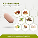 Ayurvedic lipid balance blend with ingredients and a pill on a white background